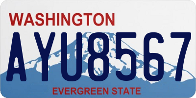 WA license plate AYU8567
