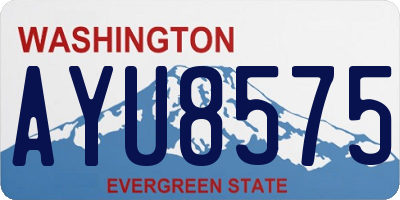 WA license plate AYU8575