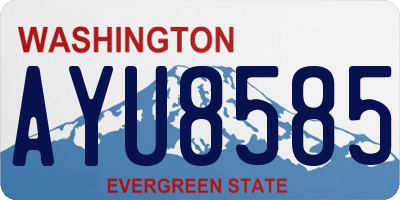 WA license plate AYU8585
