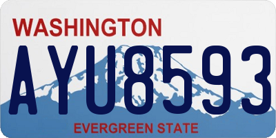 WA license plate AYU8593