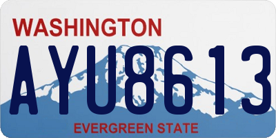 WA license plate AYU8613
