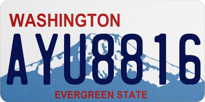 WA license plate AYU8816