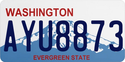 WA license plate AYU8873
