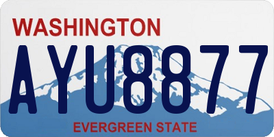 WA license plate AYU8877