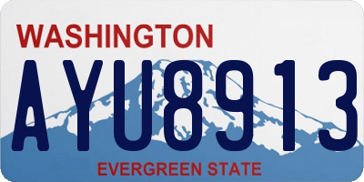 WA license plate AYU8913