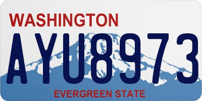 WA license plate AYU8973
