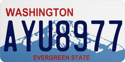 WA license plate AYU8977