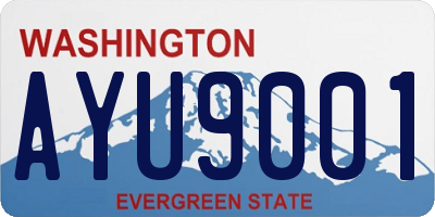 WA license plate AYU9001