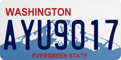 WA license plate AYU9017