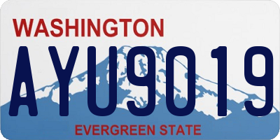 WA license plate AYU9019