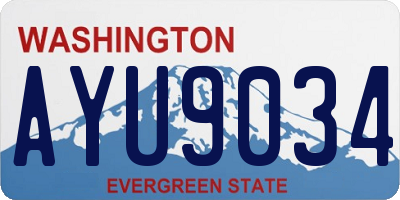 WA license plate AYU9034