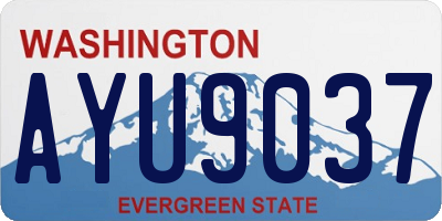 WA license plate AYU9037