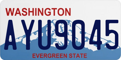 WA license plate AYU9045