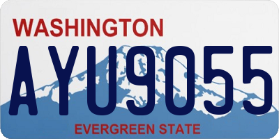 WA license plate AYU9055