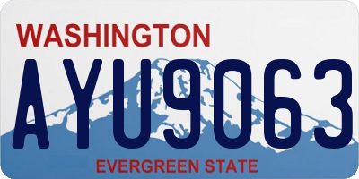 WA license plate AYU9063
