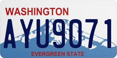 WA license plate AYU9071