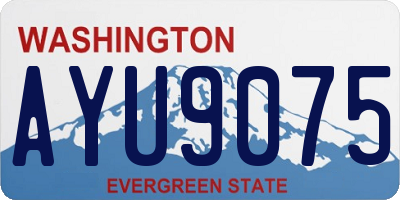 WA license plate AYU9075