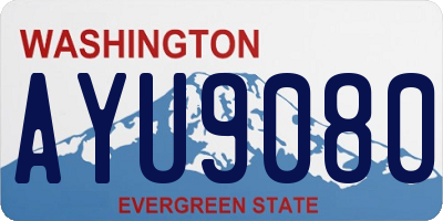 WA license plate AYU9080