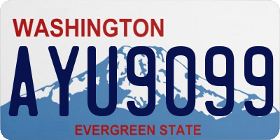 WA license plate AYU9099