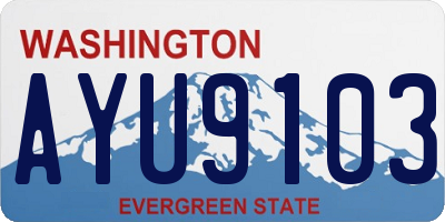 WA license plate AYU9103