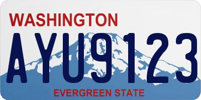 WA license plate AYU9123