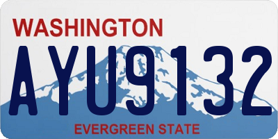 WA license plate AYU9132