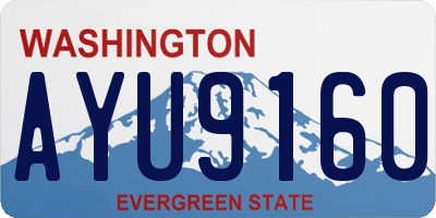 WA license plate AYU9160