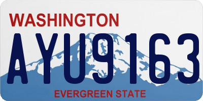 WA license plate AYU9163