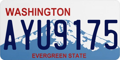 WA license plate AYU9175