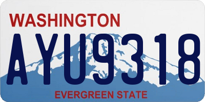 WA license plate AYU9318