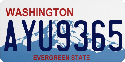 WA license plate AYU9365
