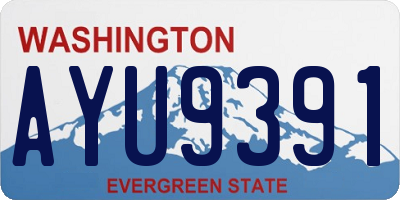 WA license plate AYU9391