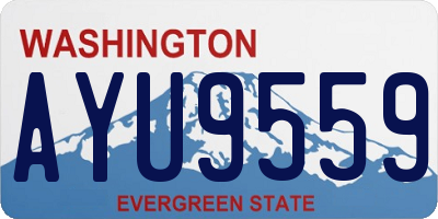 WA license plate AYU9559