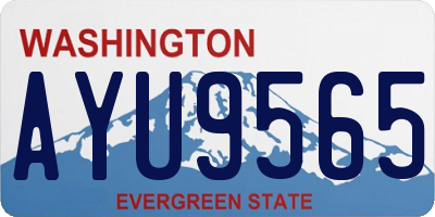 WA license plate AYU9565