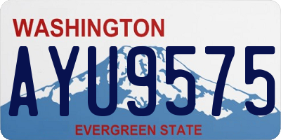 WA license plate AYU9575