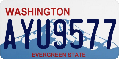 WA license plate AYU9577