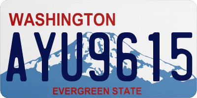 WA license plate AYU9615