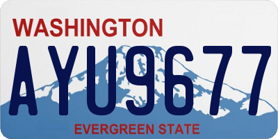 WA license plate AYU9677