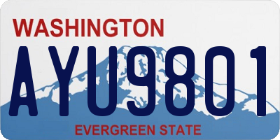 WA license plate AYU9801
