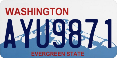 WA license plate AYU9871