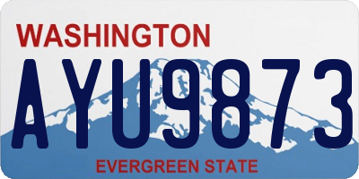WA license plate AYU9873