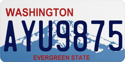 WA license plate AYU9875