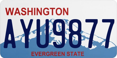WA license plate AYU9877