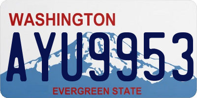 WA license plate AYU9953