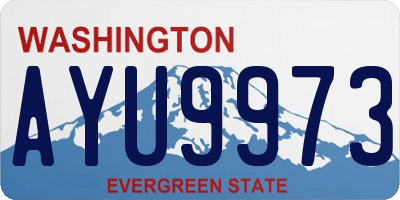 WA license plate AYU9973