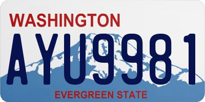 WA license plate AYU9981