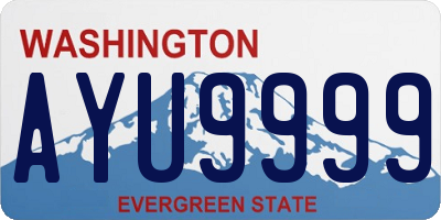 WA license plate AYU9999