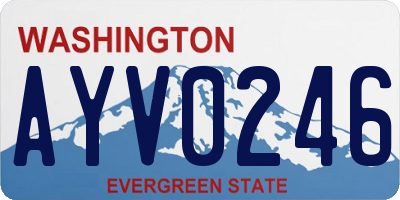 WA license plate AYV0246