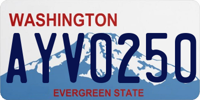 WA license plate AYV0250
