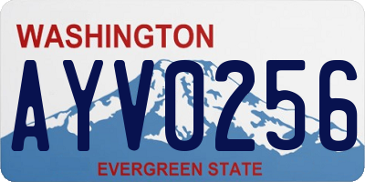 WA license plate AYV0256